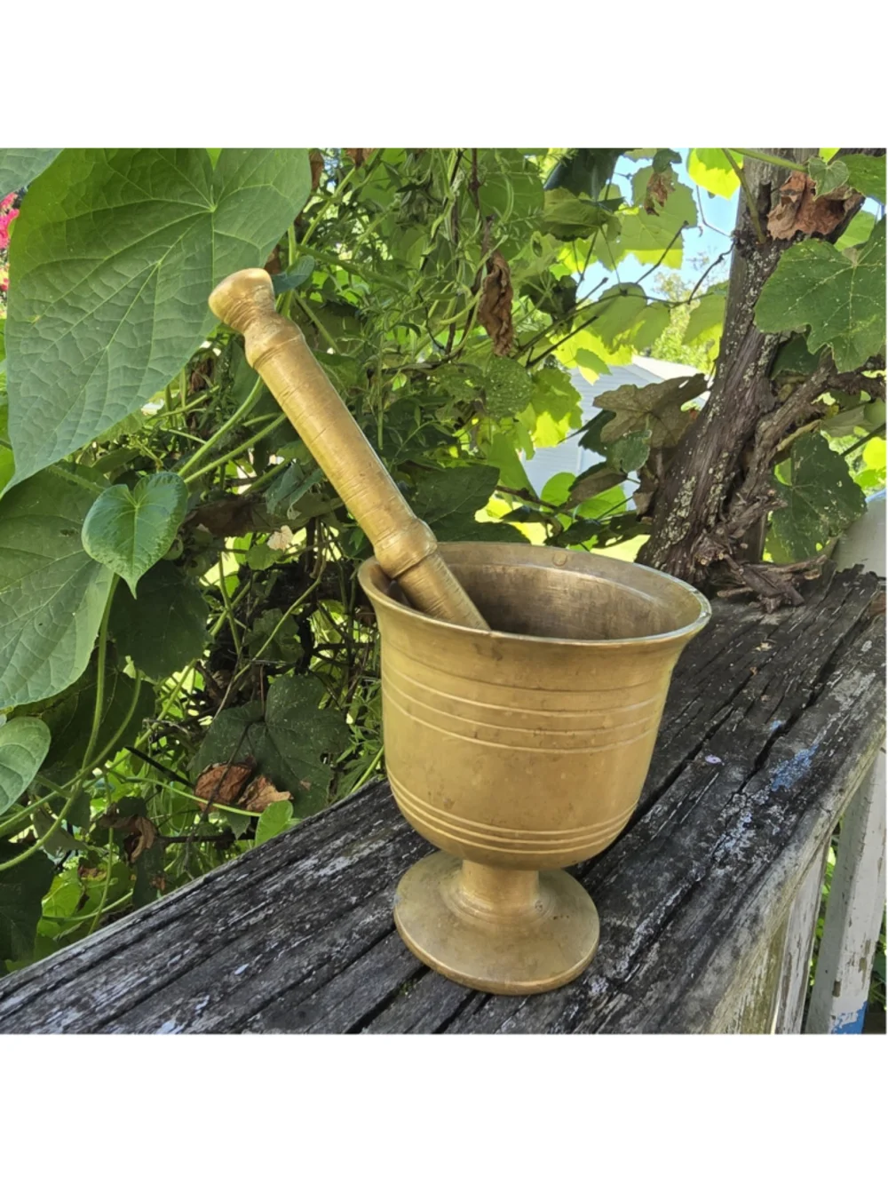 Antique Heavy Brass Mortar & Pestle 3.5” 6.5